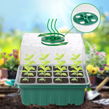 LED -uri cresc lumină 6/12 găuri tăvi de pornire a semințelor plante cultivă cutie tăvi de răsaduri germinare instrument de germinare a grădinăritului interior