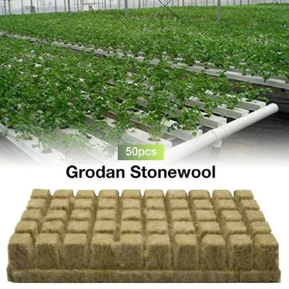50kpl 25x25x25 mm Stonewool Hydroponiset Grow Media Cubes Kasvien kuutiot Soiless Substraatti Seed Rock Wool Plack -johtolohko