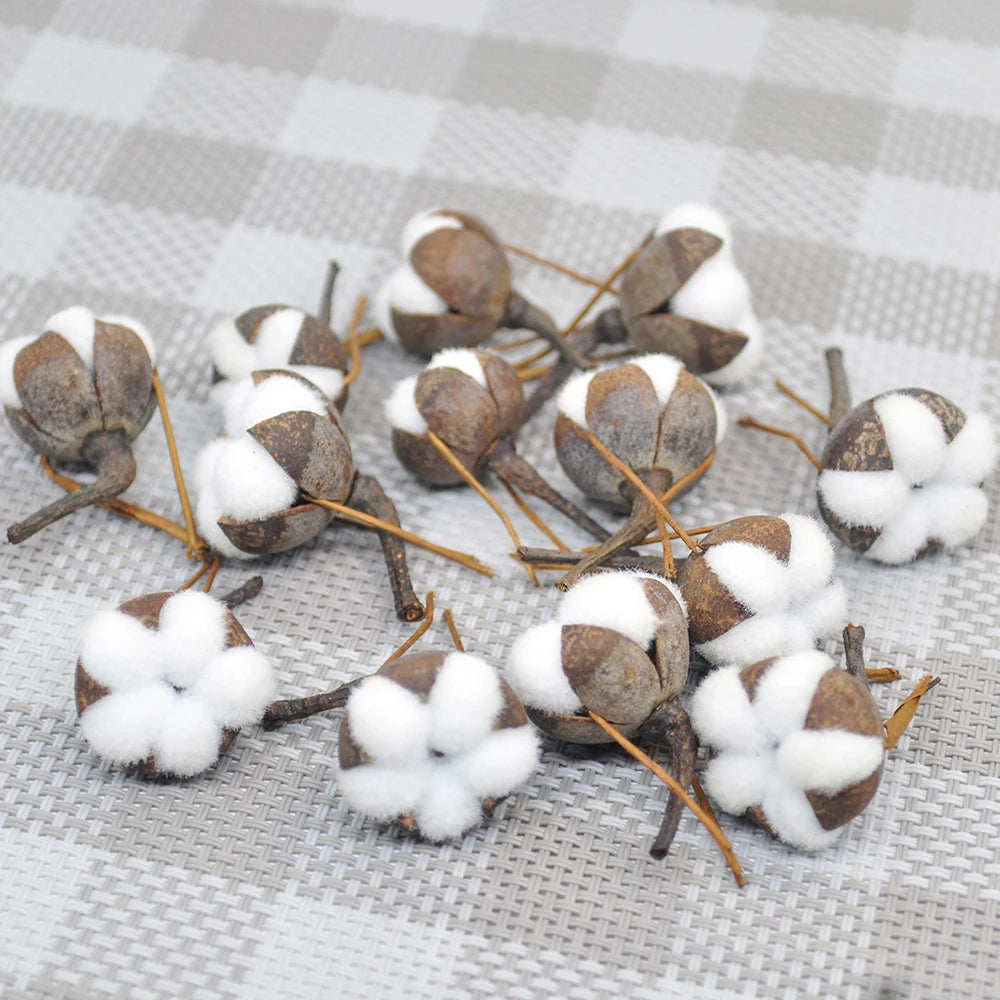 12 Artificial Kapok Natural Dried Flowers Simulation Cotton Wedding Room Easter Decoration Supplies DIY Wreath Bouquet Gift Box