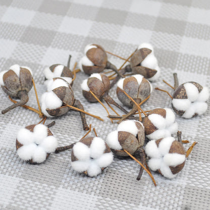 12 Künstliche Kapok natürliche getrocknete Blumen Simulation Baumwolle Hochzeitsraum Osterdekoration Lieferungen DIY Wrack Bouquet Geschenkbox