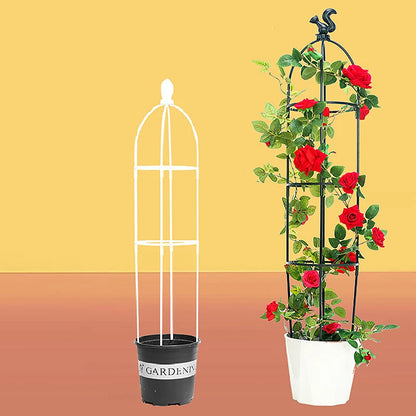 1set d'escalade plante treillis jardin cages de soutien pour les fleurs plantes de support