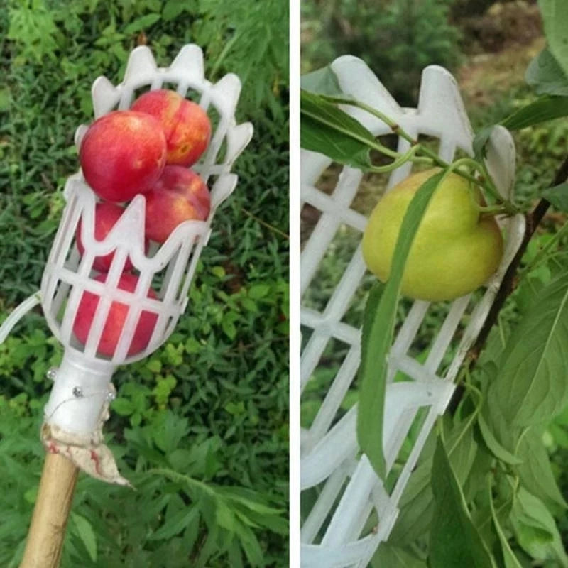 Metal Fruit Picker Orchard Giardinaggio Mela Peach Strumenti di raccolta degli alberi Alti Strumenti da giardinaggio collezionista di frutta