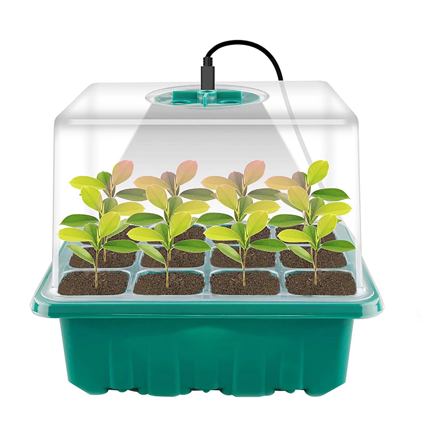 LED -uri cresc lumină 6/12 găuri tăvi de pornire a semințelor plante cultivă cutie tăvi de răsaduri germinare instrument de germinare a grădinăritului interior
