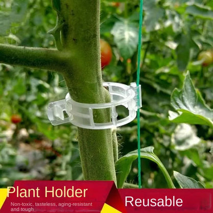 50pcs Plastikanlagen -Stützclips wiederverwendbares Pflanzenschutzbefestigungswerkzeug für Gemüse -Tomatengartenvorräte