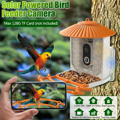 US 4G Band 1080P 120 Wide View Angle PIR Motion Detection Night Vision 5200mAh 3.5w Solar Bird Feeder Camera With AI Identify