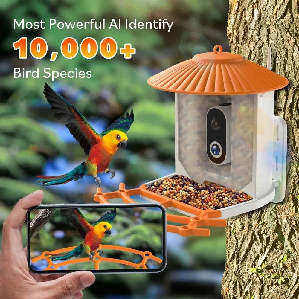 US 4G Band 1080p 120 Wide View Angle Pir Motion Detection Night Vision 5200mAh 3.5W Solar Bird Feeder Camera With AI Identific