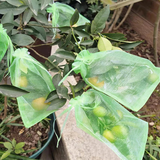 100pcs Sacs de protection de fruits Mesh Barrier Sac à arbre fruitier Sacs de couverture de filet anti-oiseau sacs de filet de jardin
