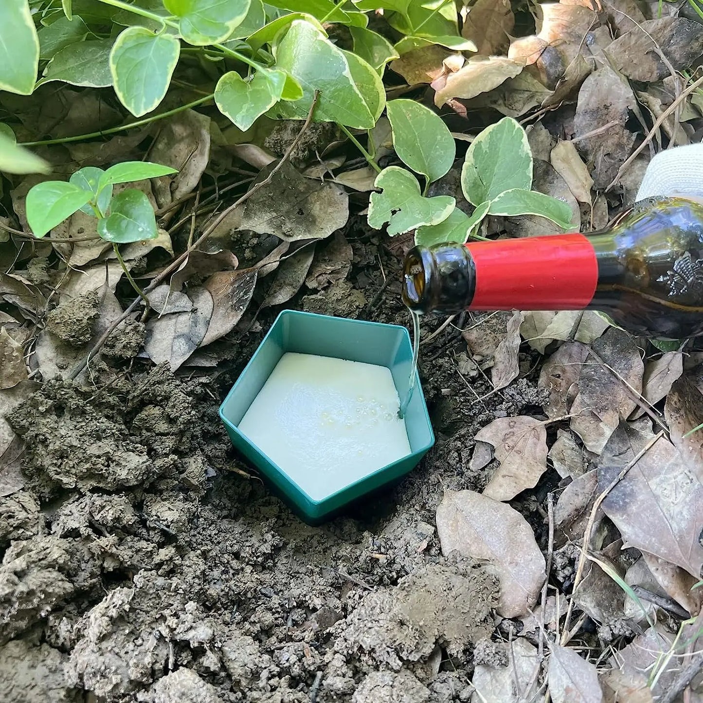 2 pezzi Eco-friendly Birra Snail Gage Slug House Snail Trap Catcher Reieject Strumenti per i parassiti PASTS stazione da giardino Protettore per piante da giardino