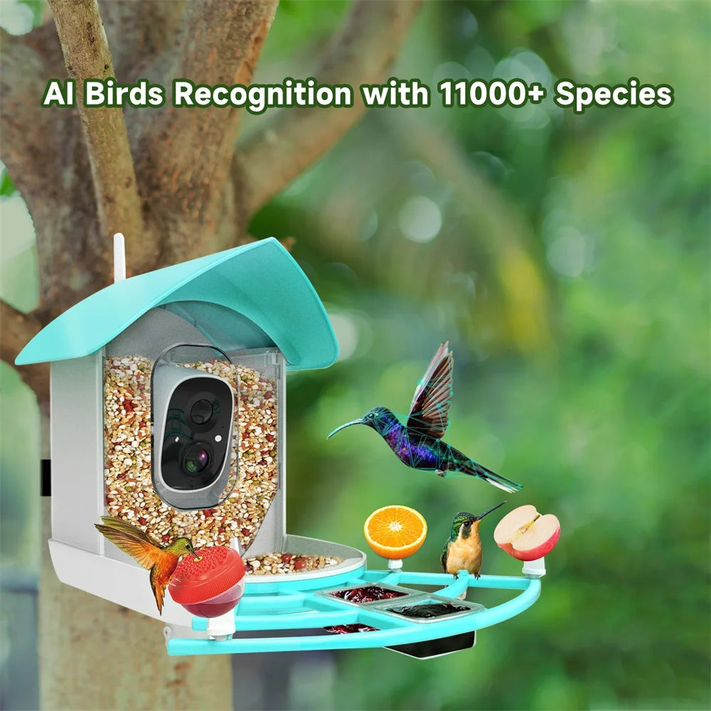 App de alimentador de pássaros inteligentes solar externo App Wi -Fi Monitoramento remoto de câmera de pássaro sem fio com painel solar 2MP 1080p HD AI Reconhecimento