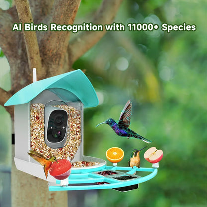 Outdoor Solar Smart Bird Feeder WiFi App Draadloze vogelcamera Remote Monitoring met zonnepaneel 2MP 1080P HD AI Herkenning