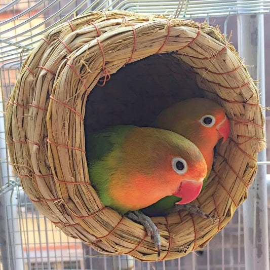 1pc natural handmade păsări de păsări cuib de porumbei casă papagal cuib cald cald pentru animale de companie curte, cutii mici de păsări pentru păsări