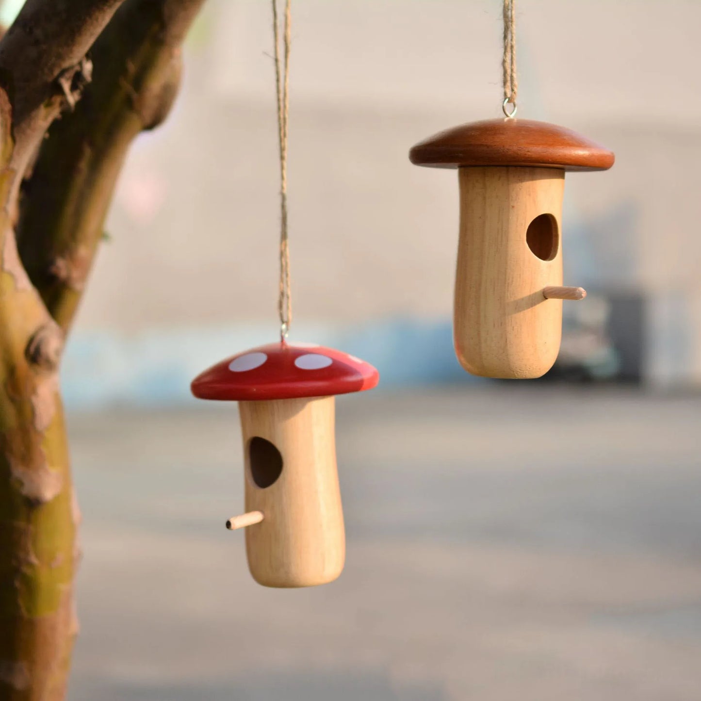 Casa del colibrì Casa naturale fuori da sospensione per nidificare il nido di uccelli in legno per uccelli cottage in gamba Garden